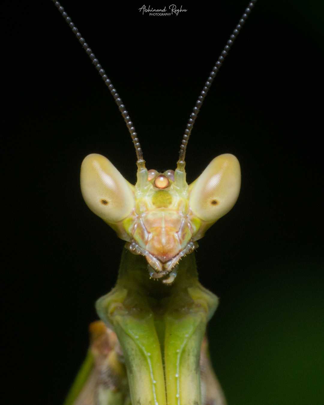 Alien 👽