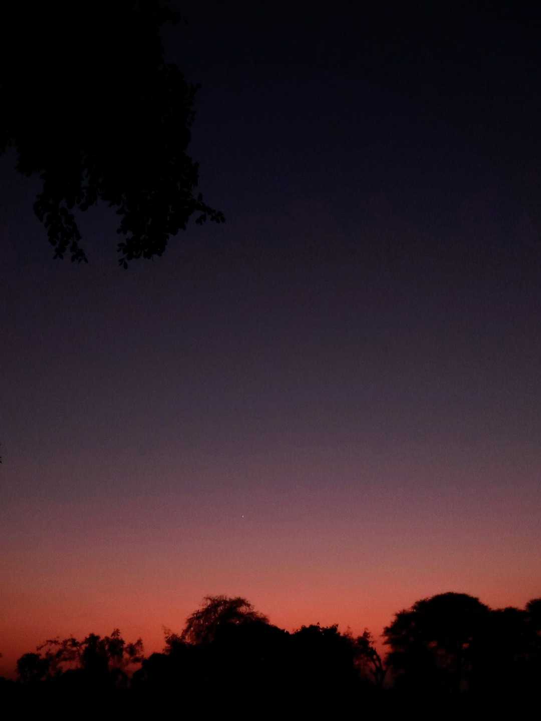 evening 