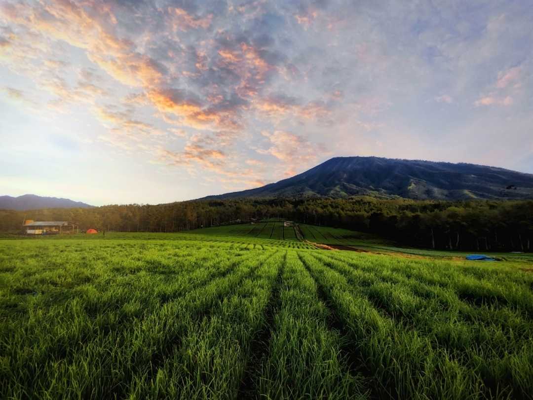 gunung Arjuna