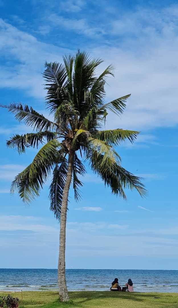 Tanjung Aru Beach