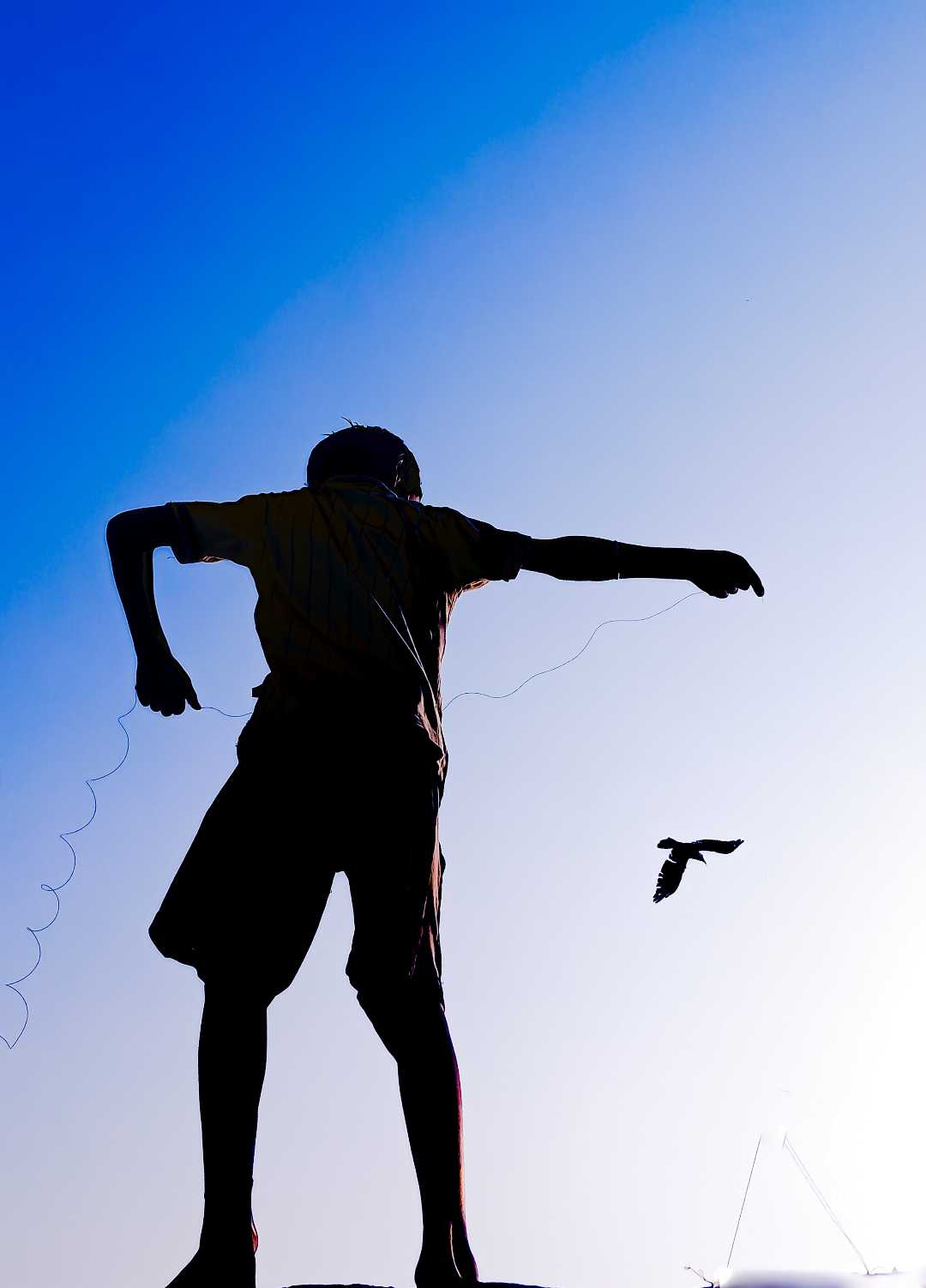 the art of Flying. 